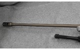 Browning X Bolt~ .300 Winchester Magnum - 8 of 8