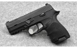 Sig Sauer P320~ 9mm - 2 of 2