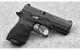 Sig Sauer P320~ 9mm - 1 of 2