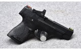 Smith&Wesson Shield Plus Performance Center~9MM - 1 of 2