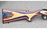 Ruger~ 10/22 takedown 2020 USA Shooting Team Ltd Ed~ .22 LR - 1 of 8