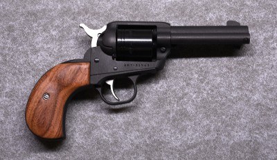 Ruger~ Wrangler~ .22 Long Rifle