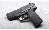 Sig Sauer SP2022~.40S&W - 2 of 2