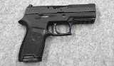 Sig Sauer P320~ 9mm - 1 of 2