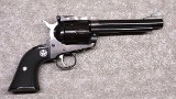 Ruger ~ New Model Blackhawk ~ .45 Cal - 1 of 2