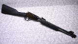 Rossi ~ Gallery Gun ~ .22 Long Rifle