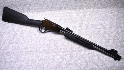 Rossi ~ Gallery Gun ~ .22 Long Rifle