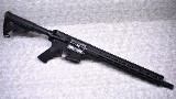Smith & Wesson ~ M&P-15 / AR-15 ~ 5.56 NATO