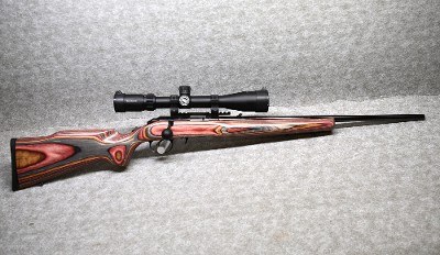 Ruger~ American~ .17 HMR