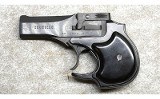 High Standard ~ Derringer ~ .22 Long Rifle - 2 of 2