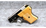 Smith & Wesson ~ Model 61-3 ~ .22 Long Rifle - 2 of 2