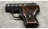 Smith & Wesson~ 61-3 Escort~ .22 LR - 2 of 2