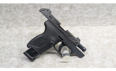 Ruger ~ LCP Max ~ .380 Auto - Image 3 of 5