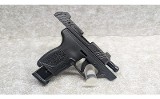 Ruger ~ LCP Max ~ .380 Auto - Image 3 of 5