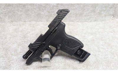 Ruger ~ LCP Max ~ .380 Auto - Image 4 of 5