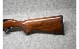 Ruger ~ 10/22 ~ .22 LR - 6 of 8