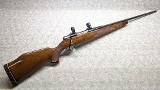 Colt Sauer ~ Sporting Rifle ~ .243 Winchester - 1 of 15