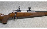 Colt Sauer ~ Sporting Rifle ~ .243 Winchester - 3 of 15