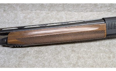 Beretta ~ AL 391 Urika ~ 12 Gauge - Image 10 of 12