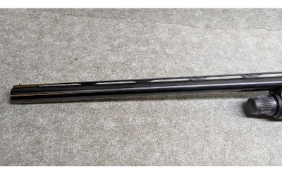 Beretta ~ AL 391 Urika ~ 12 Gauge - Image 9 of 12