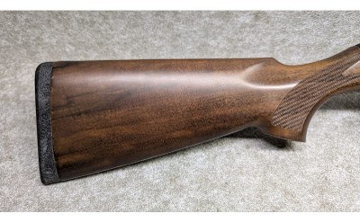 Beretta ~ AL 391 Urika ~ 12 Gauge - Image 2 of 12