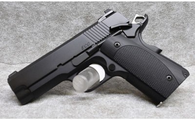 Dan Wesson ~ ECO ~ 9mm - Image 2 of 3
