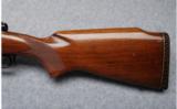 Winchester Pre-64 Model 70 Standard Grade .270 Win. - 7 of 8