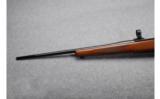 Ruger ~ M77 ~ 7x57 - 6 of 9