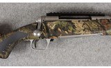 Savage Arms ~ 110 Bear Hunter ~ .375 Ruger - 13 of 14