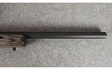 Remington ~ 597 ~ .22LR - 13 of 14