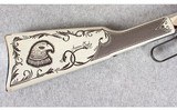 Henry ~ American Eagle ~ .22 S, L, LR - 15 of 15