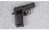 Springfield Armory ~ 911 ~ .380 ACP - 1 of 2