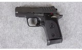 Springfield Armory ~ 911 ~ .380 ACP - 2 of 2