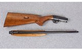 Browning ~ SA-22 ~ .22LR - 14 of 14