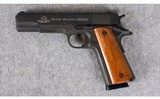 Rock Island Armory ~ M1911 GI ~ .45 ACP - 2 of 2