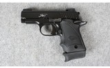 Kimber ~ Micro 9 ~ 9MM - 2 of 4