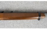 Ruger ~ 10/22 ~ .22 LR - 13 of 14