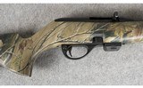 Remington ~ 597 ~ .22LR - 3 of 15