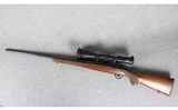 Ruger ~ M77 Hawkeye ~ .300 Win Mag - 12 of 13