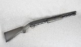 Browning ~ BPS ~ 12 Gauge