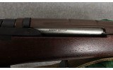 Springfield Armory ~ M1A ~ 7.62 x 51 mm NATO / .308 Winchester - 7 of 13