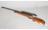 Mossberg ~ 151K ~ .22LR - 10 of 11