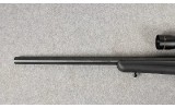 H&R ~ Sportster ~ .17 HMR - 7 of 11