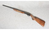 Browning ~ SA-22 ~ .22LR - 10 of 11