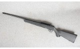 Savage Arms ~ A22 ~ .22 WMR - 11 of 12