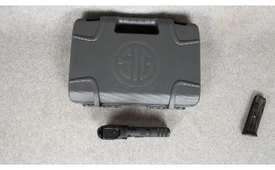 SIG Sauer ~ P229 ~ 9mm - Image 3 of 4