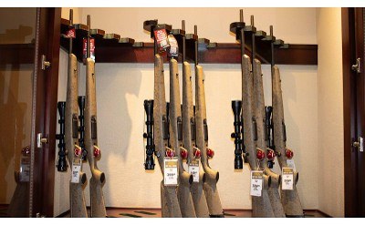 Savage ~ Axis ~ .223 Remington - Image 7 of 8