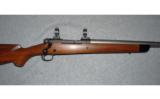 Winchester, Model 70 Custom (Pre 64), .375 H&H - 2 of 8