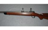 Winchester, Model 70 Custom (Pre 64), .375 H&H - 4 of 8