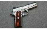 Ruger, Model SR1911 Stainless Semi-Auto Pistol, .45 ACP - 1 of 2